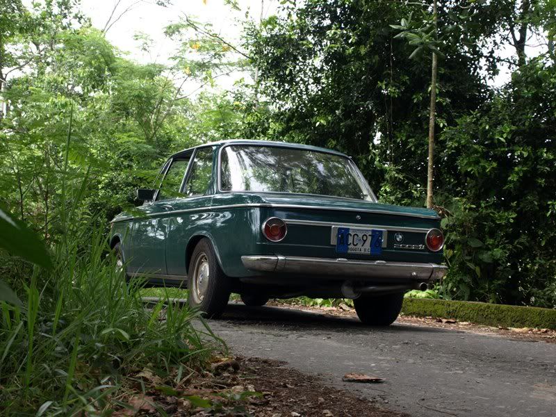 P3239753.jpg