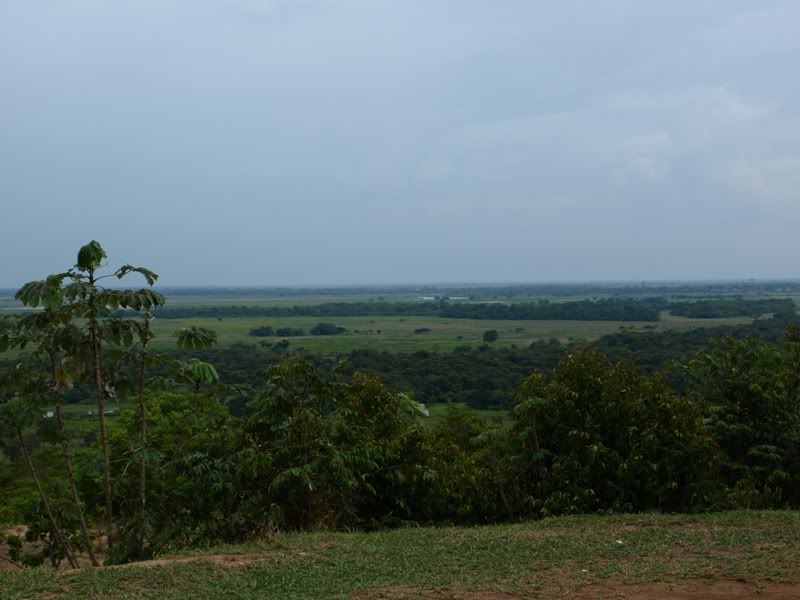 P3229670.jpg