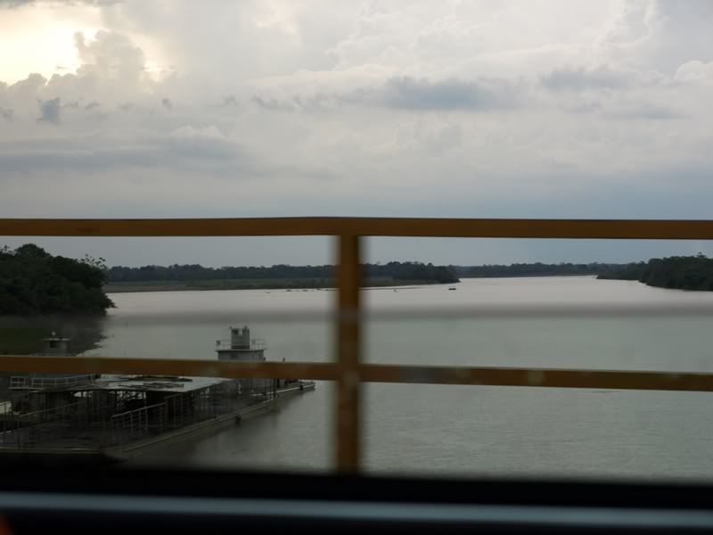 P3229653.jpg