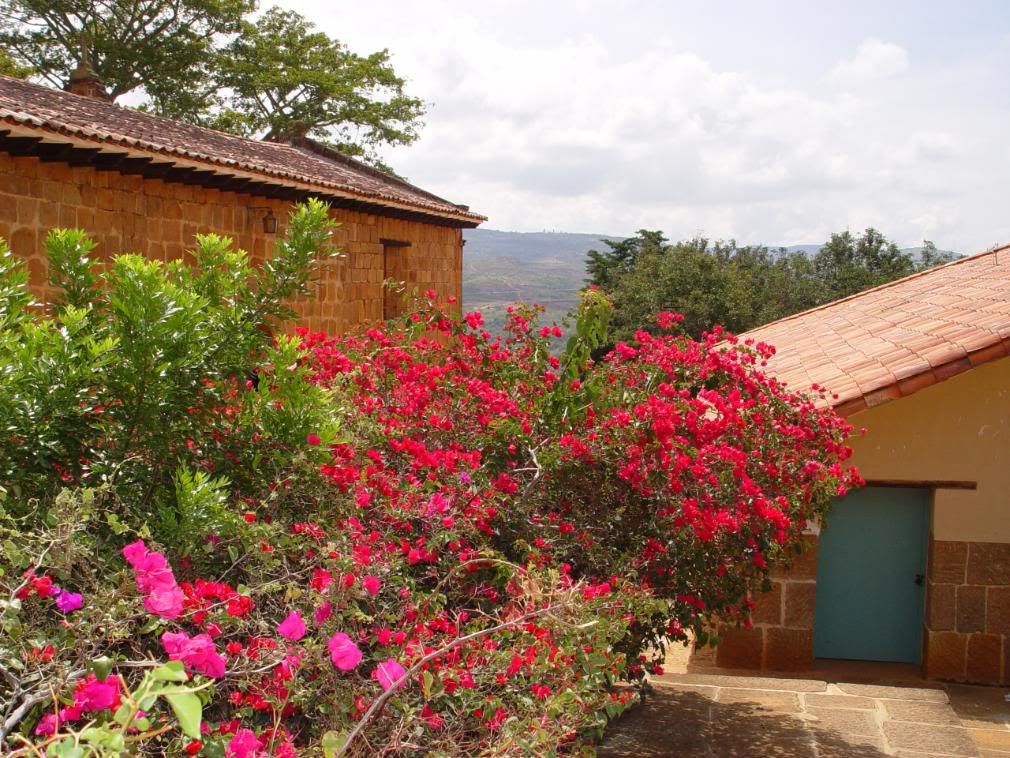 BucarayBarichara006.jpg