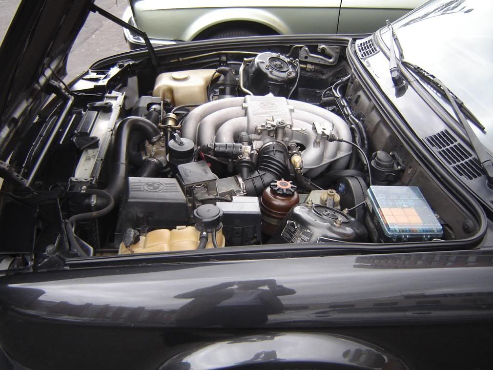 DSC06754-1.jpg