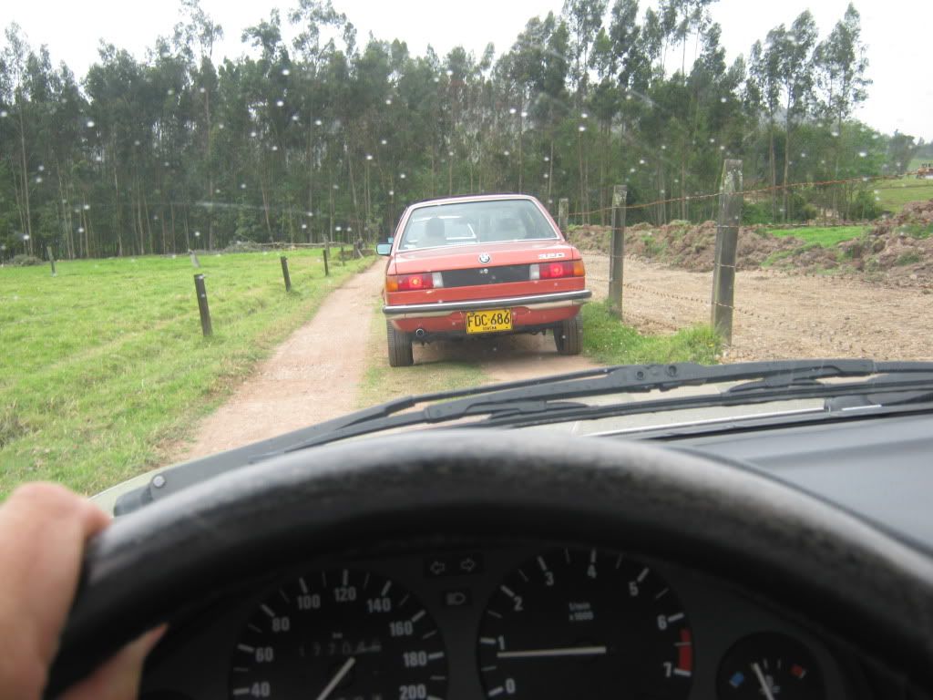 varios5108.jpg
