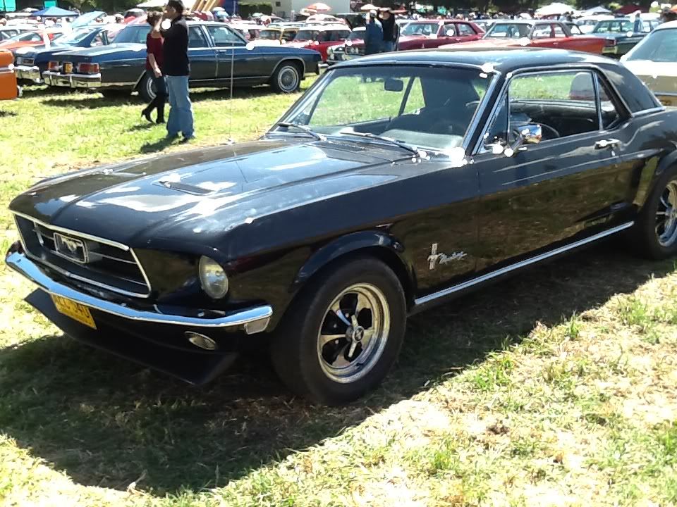 IMG_1092_zps0967ae75.jpg