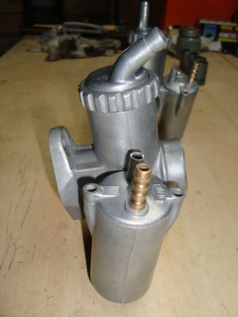 DSC01037.jpg
