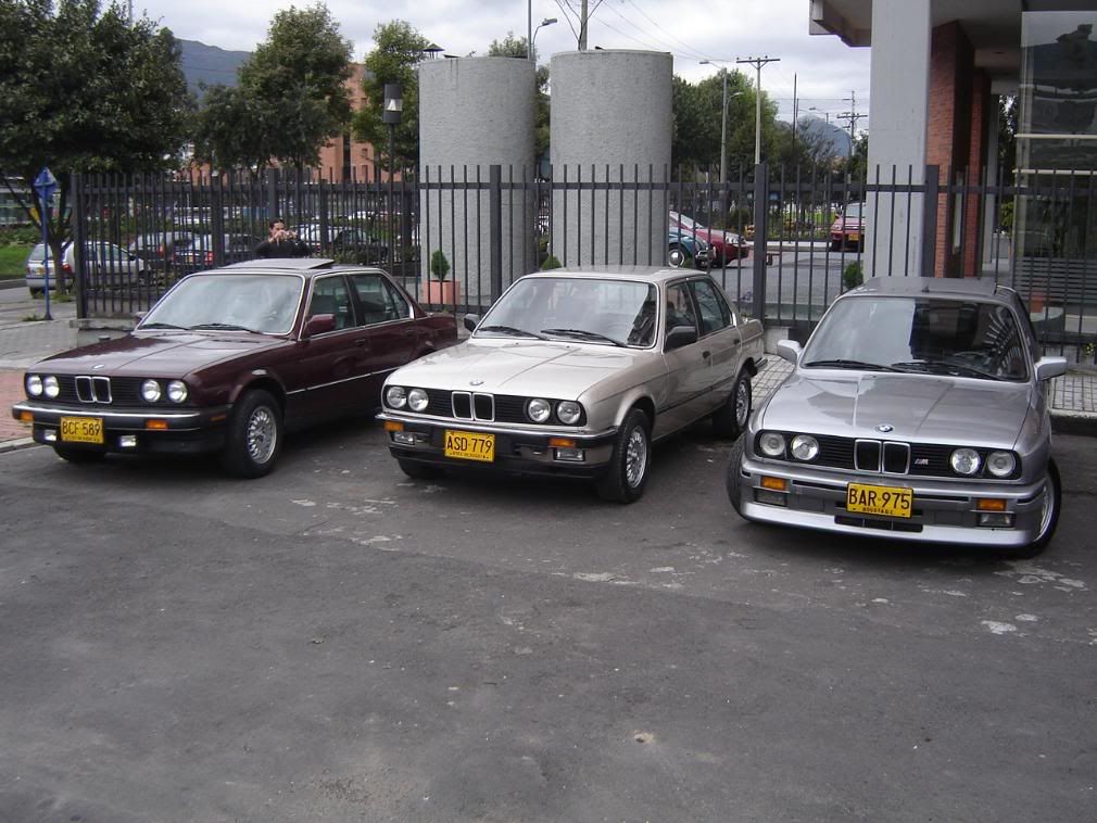 DSC06741.jpg