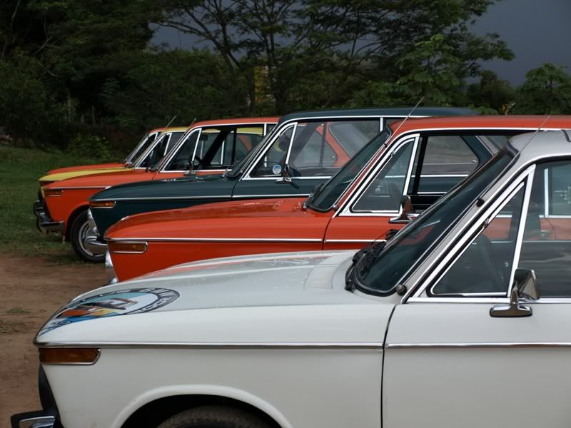 P3229679.jpg