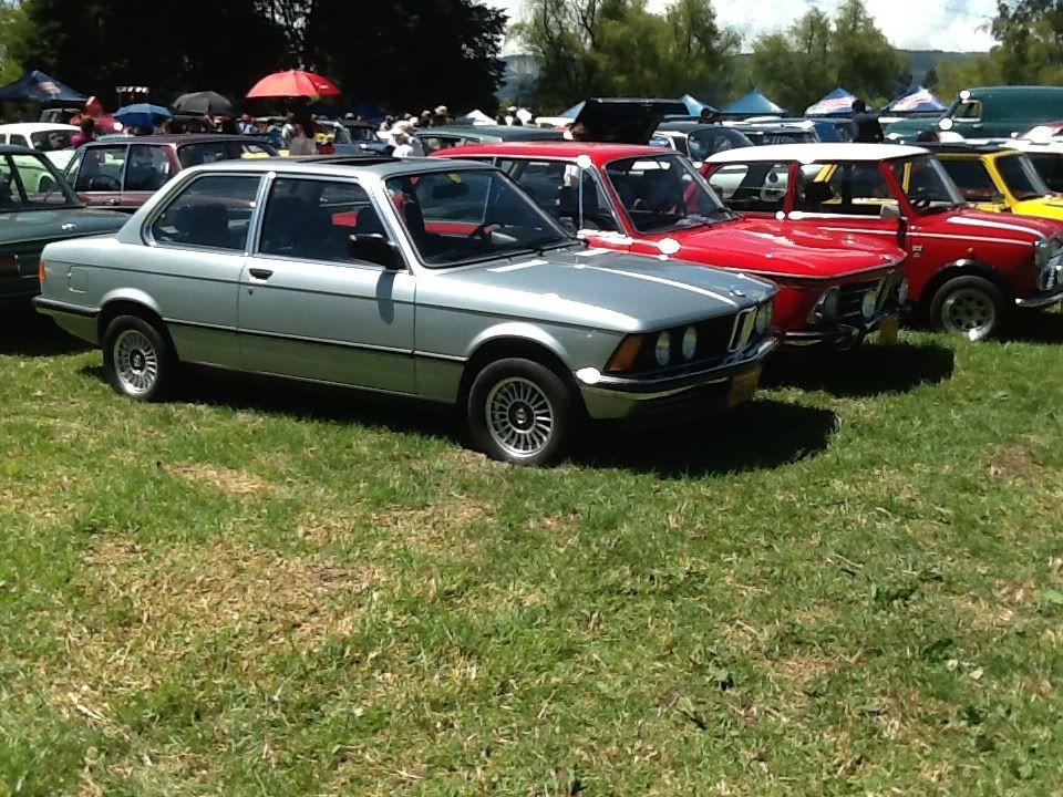 IMG_1083_zpsa29e5609.jpg