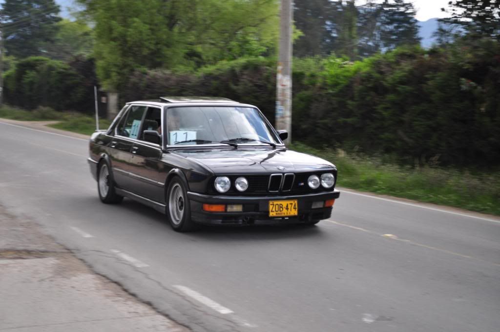 DSC_4608.jpg
