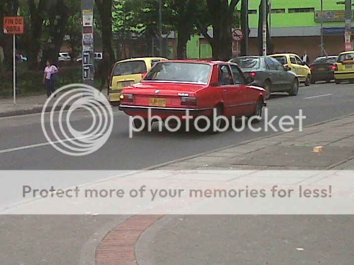 IMG00519-20110506-1227.jpg