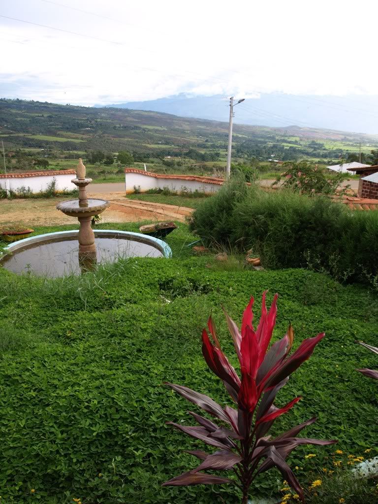 P7171136.jpg
