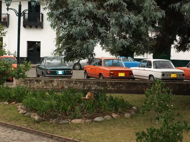 P1177855.jpg