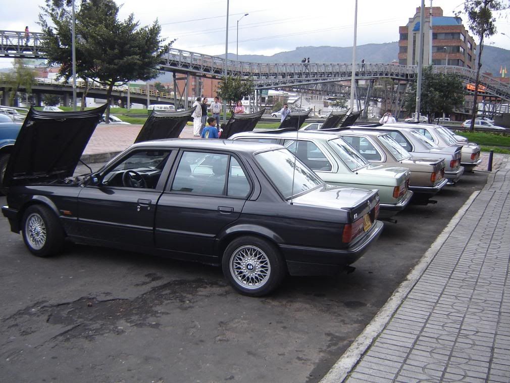 DSC06757-1.jpg