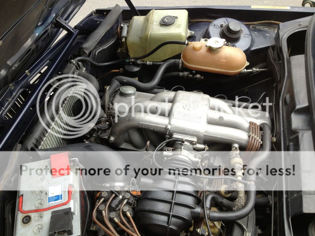 43960e8e.jpg