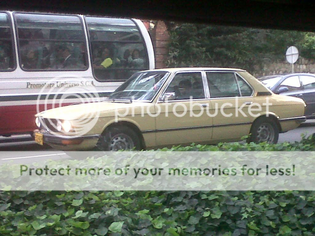 IMG00448-20111003-1725.jpg