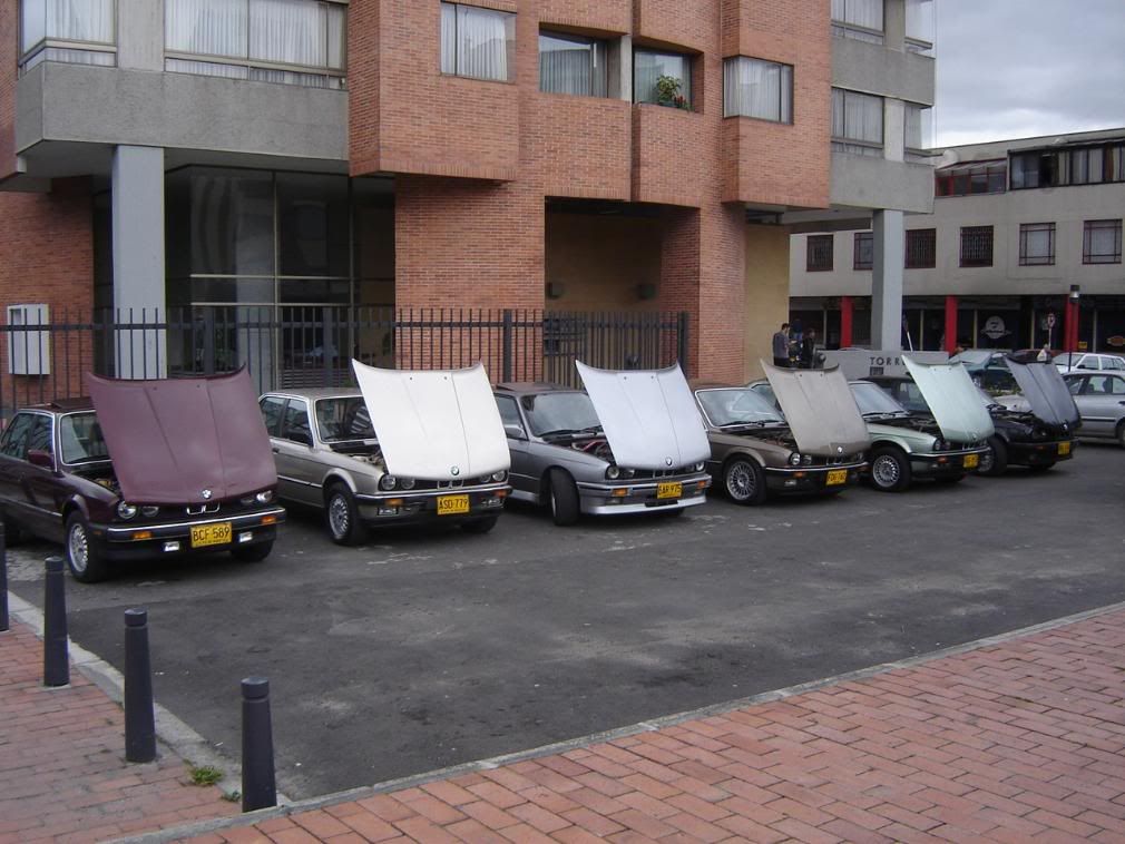 DSC06745.jpg