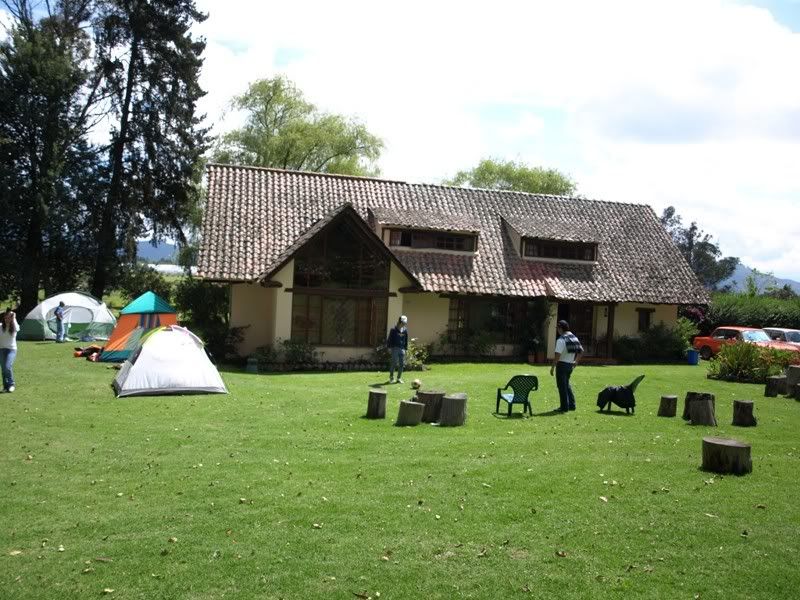 P1187920.jpg