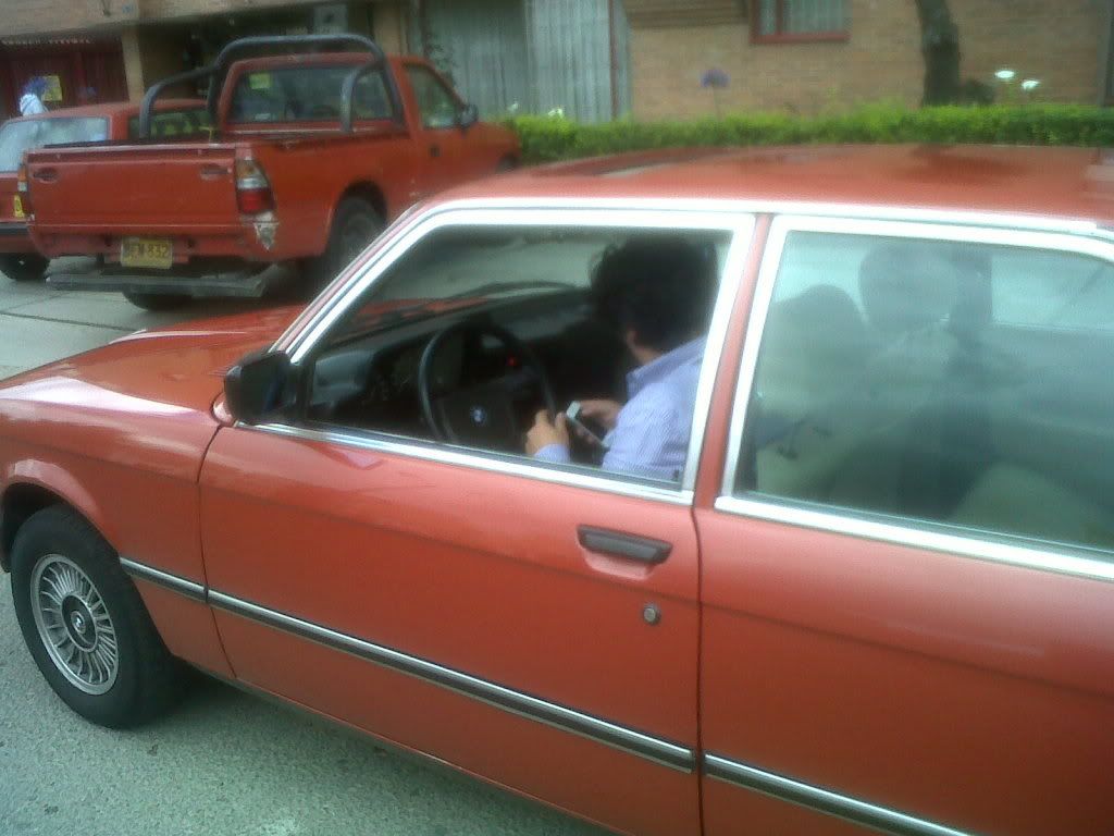 IMG01526-20120303-1331.jpg