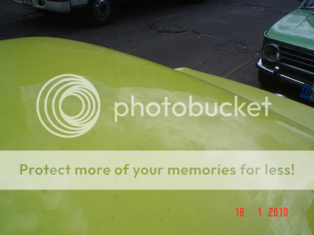 DSC06950.jpg