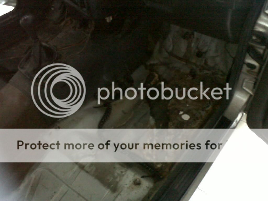 IMG00958-20110818-0803.jpg