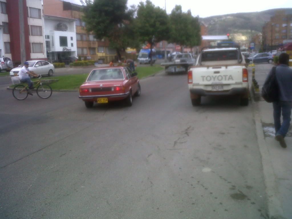 IMG01528-20120303-1332.jpg