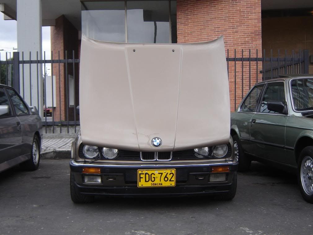 DSC06751.jpg