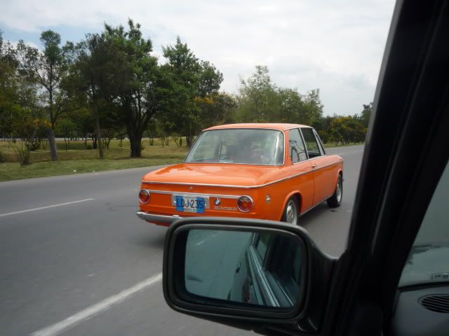 P1040442.jpg
