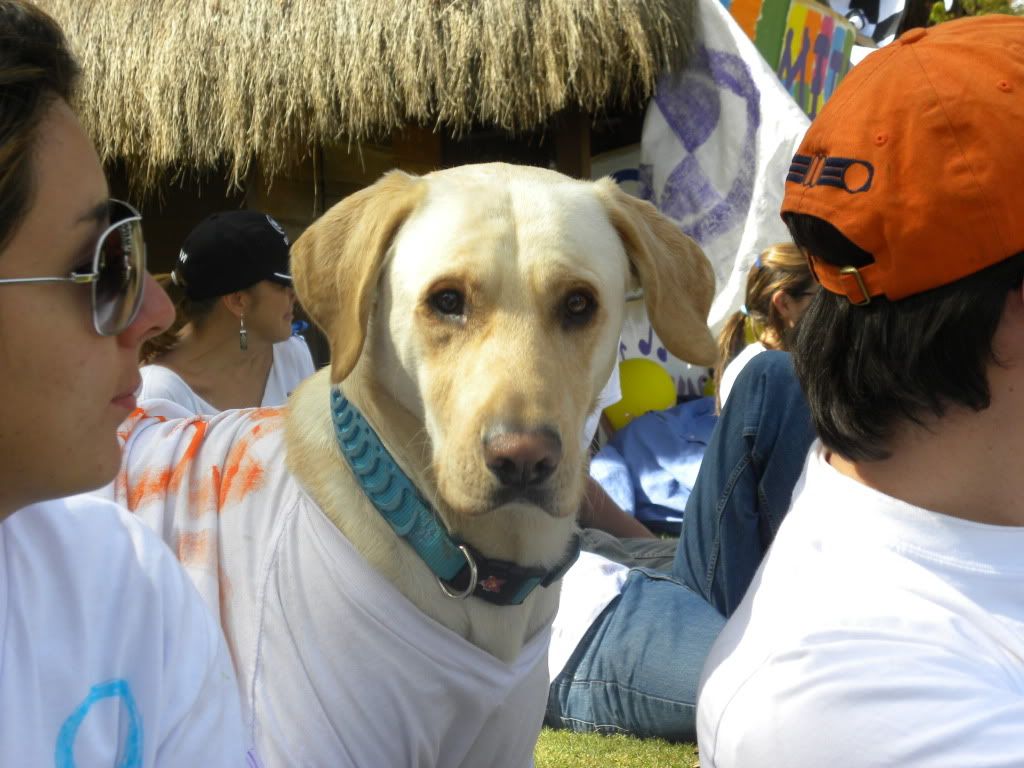 DSCN4574.jpg