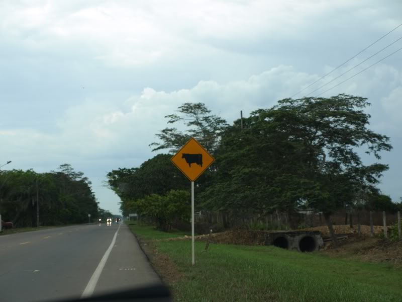 P3229590.jpg