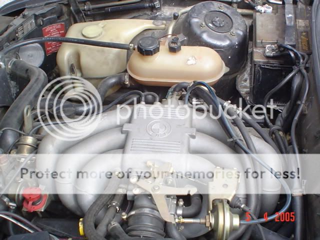 DSC01716.jpg
