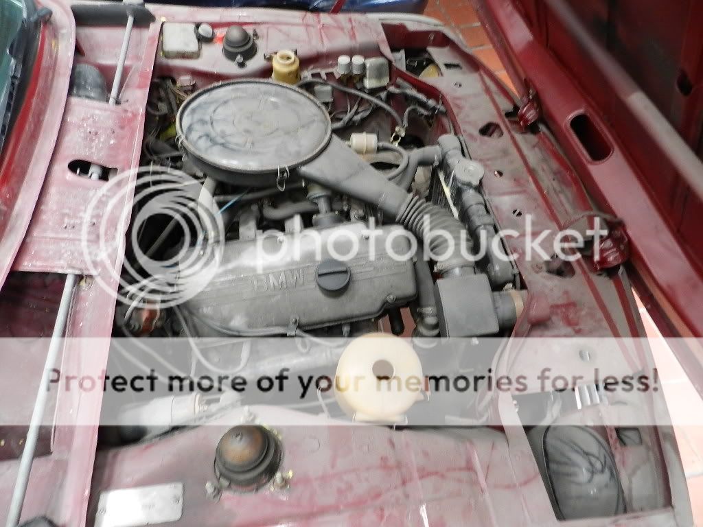 DSCN3392.jpg