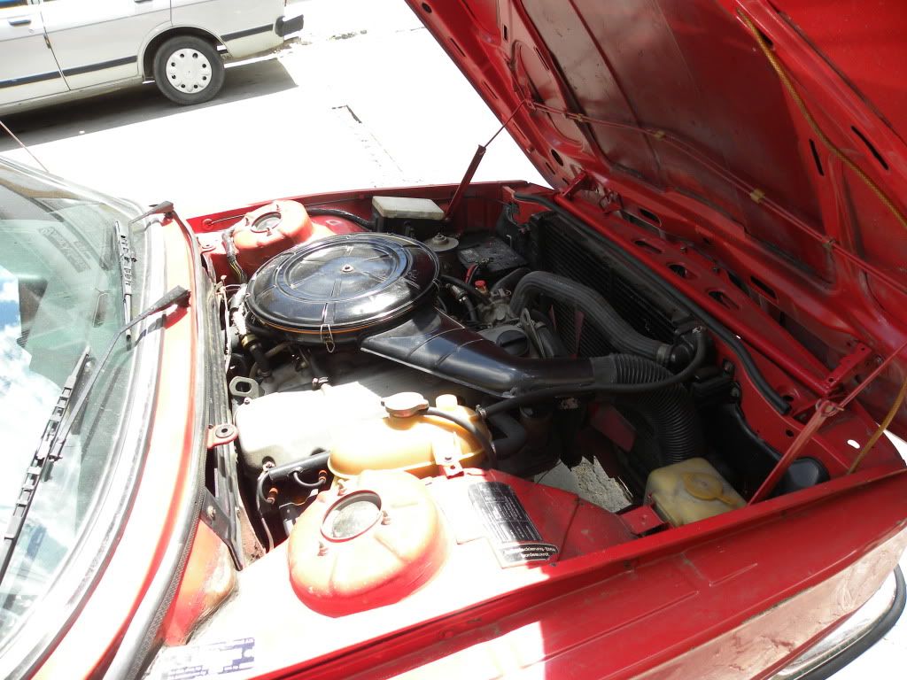 DSCN0391.jpg