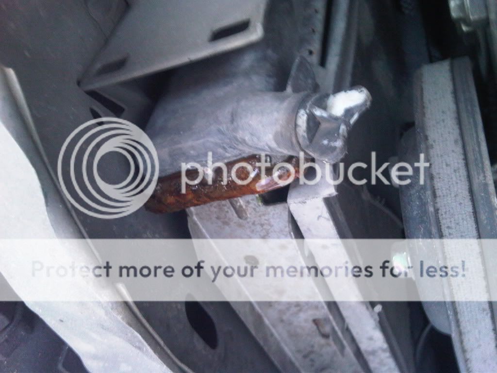 IMG00270-20100505-1136.jpg
