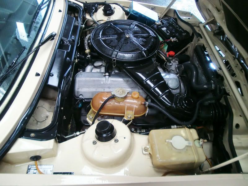 CIMG1178.jpg