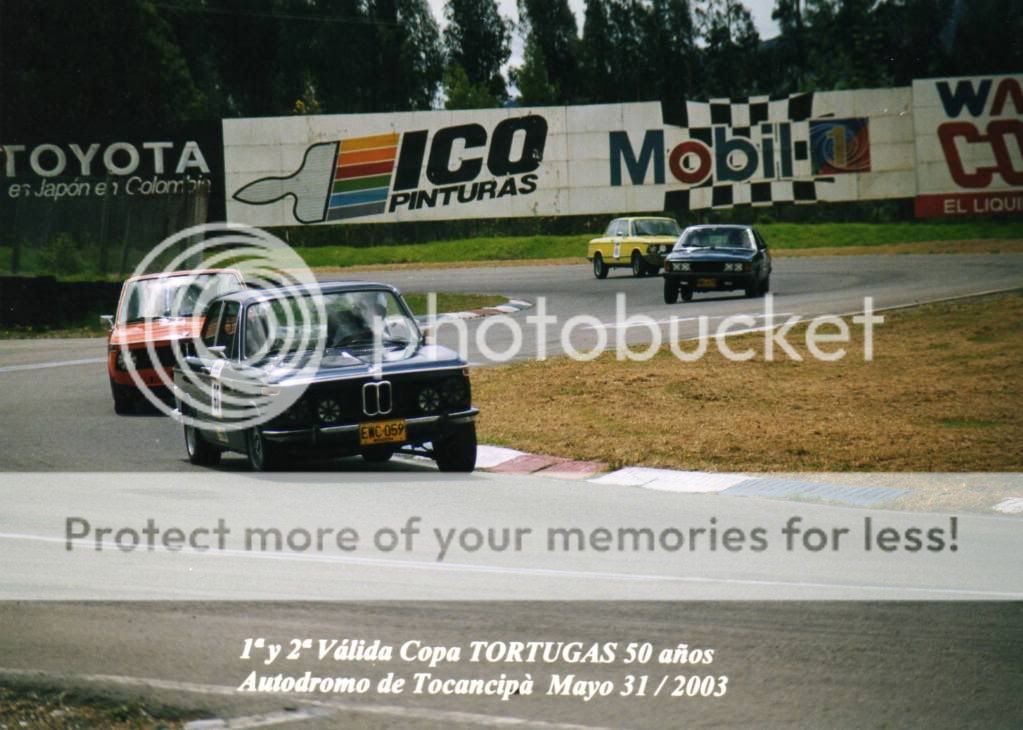 alpina13128.jpg