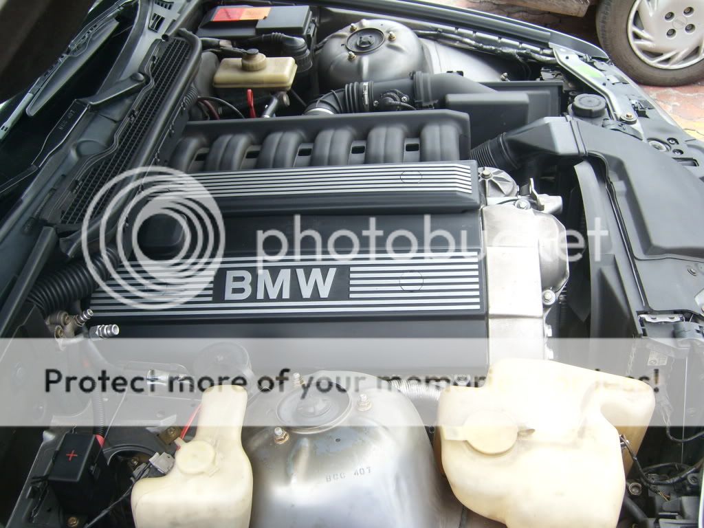 SL730849.jpg