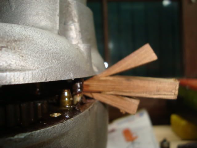 DSC01017.jpg