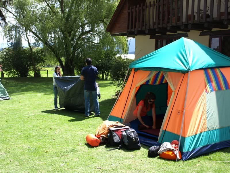 P1187918.jpg