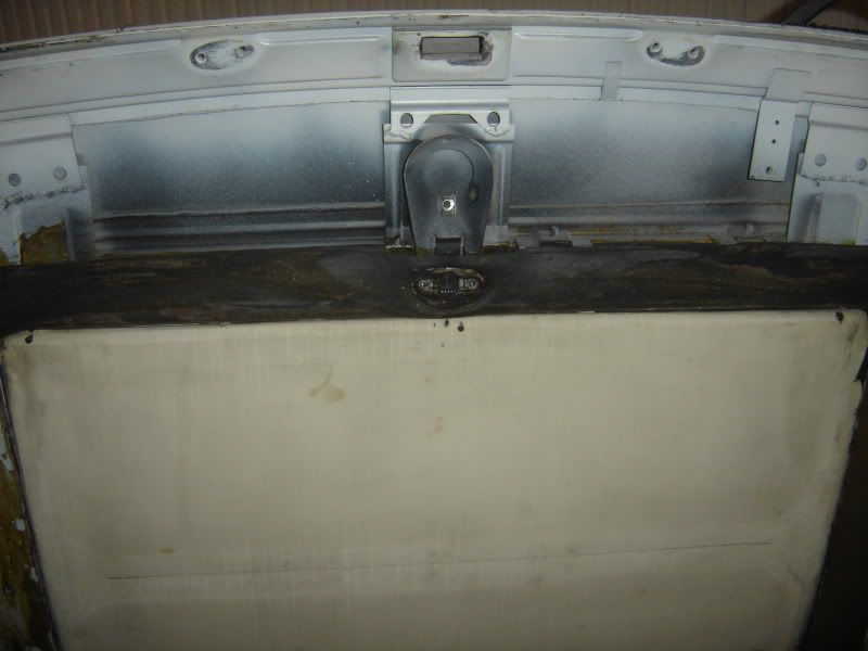 DSC03315.jpg