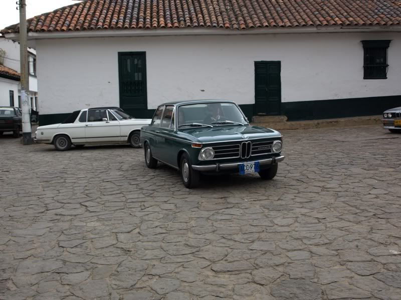 P1177787.jpg