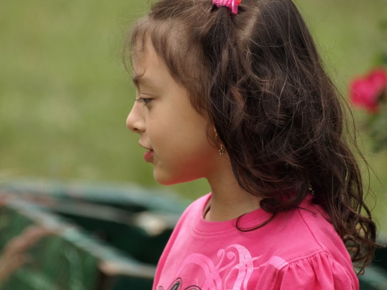 a05f33a7.jpg