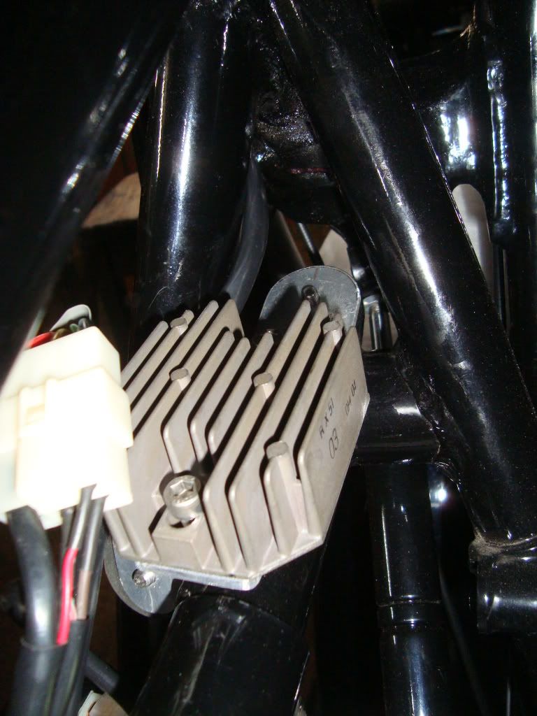 DSC02041.jpg