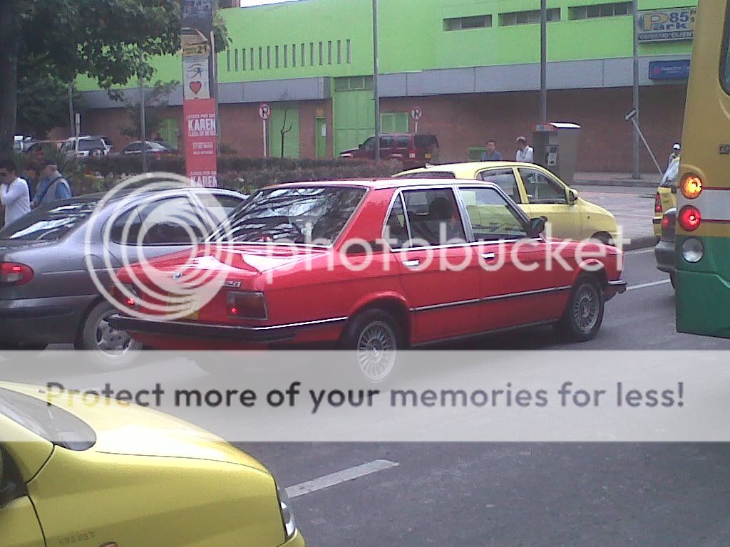 IMG00520-20110506-1227.jpg