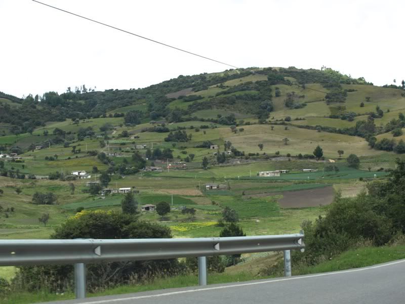 P8162439.jpg