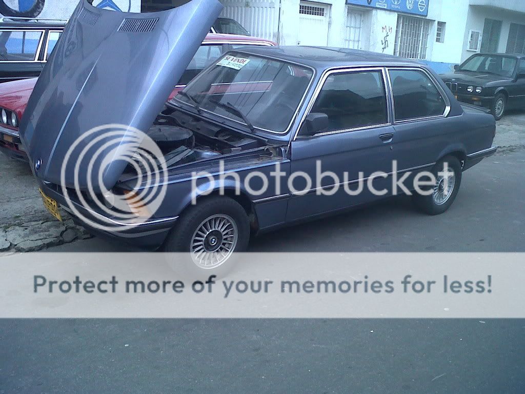 IMG01669-20120419-1358.jpg