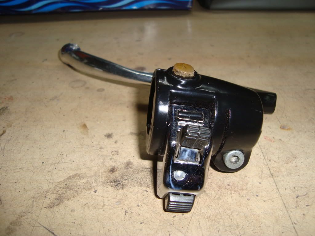 DSC01317.jpg