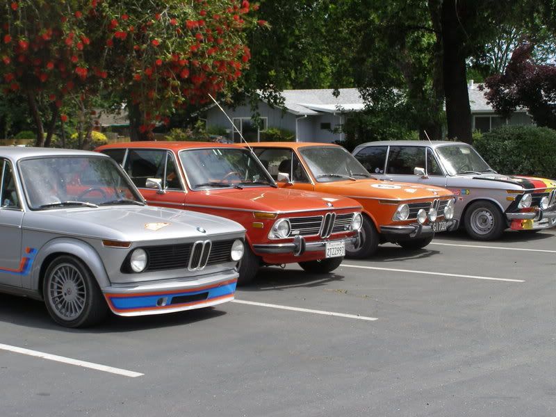 P1011039.jpg