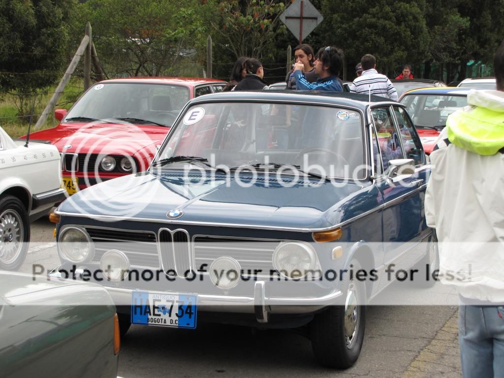 IMG_3042_zps6132ad88.jpg