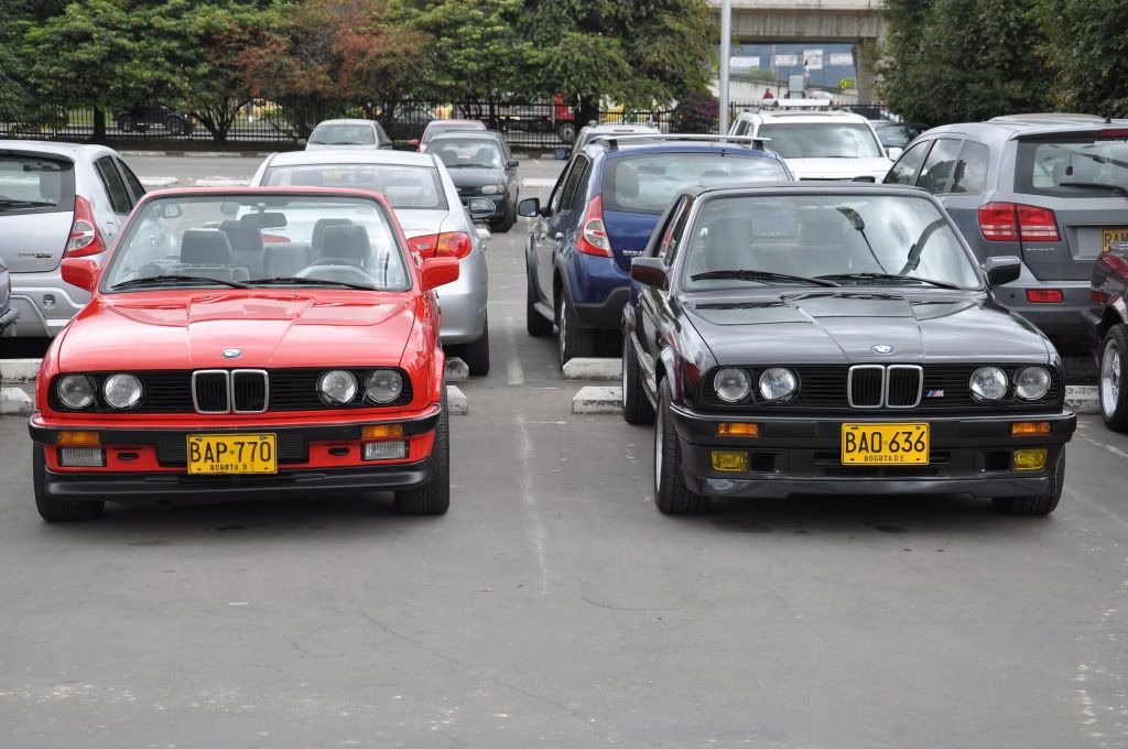 6894985d.jpg