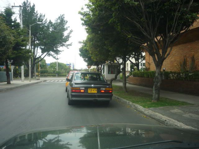 P1040440.jpg
