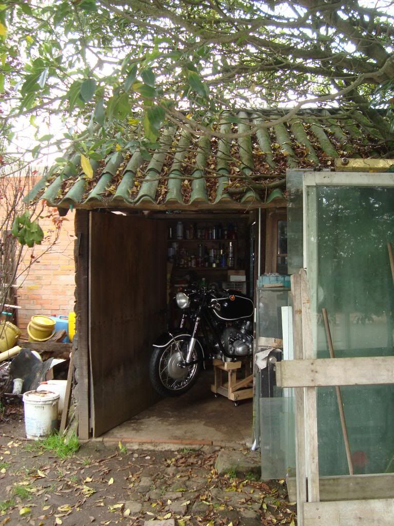 DSC02252.jpg
